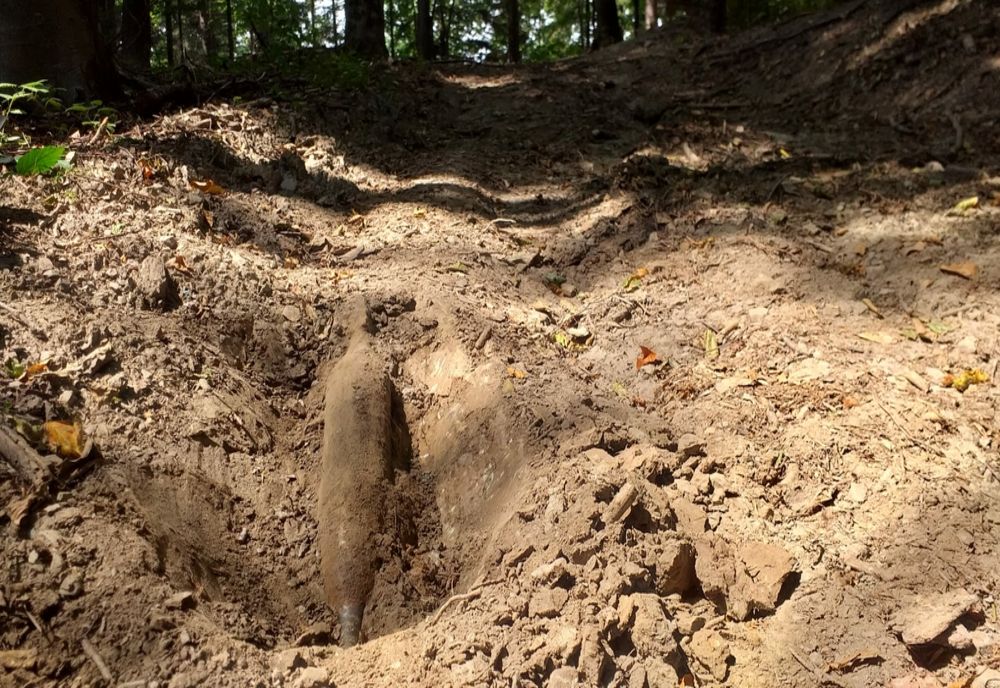 Descoperiri periculoase în două comune din Neamț