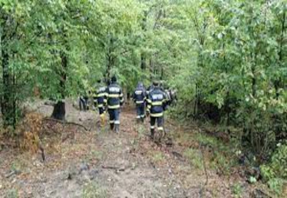 Tânăr, salvat de pompieri! Acesta căzuse în pădurea din spatele Cetății Neamțului