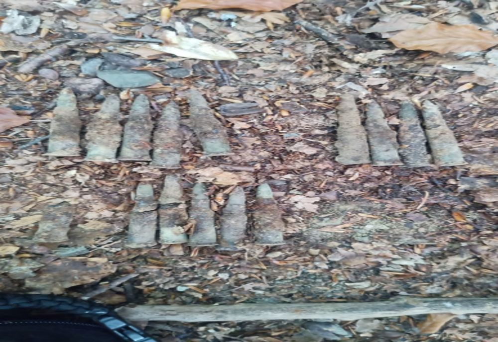 Descoperire periculoasă a unui tânăr din Neamț