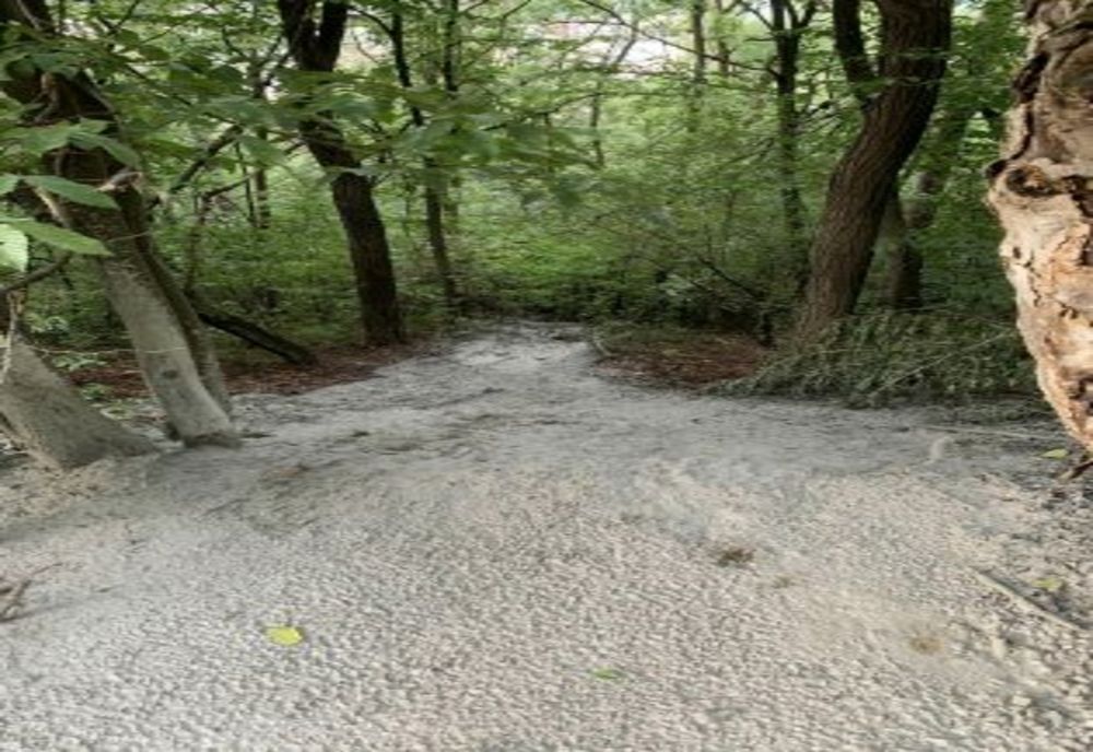 Povestea deversărilor de beton umed pe dealul Cozla, cum a ascuns primăria ”gunoiul sub preș” și răspunsul Comisariatul Național al Gărzii de Mediu