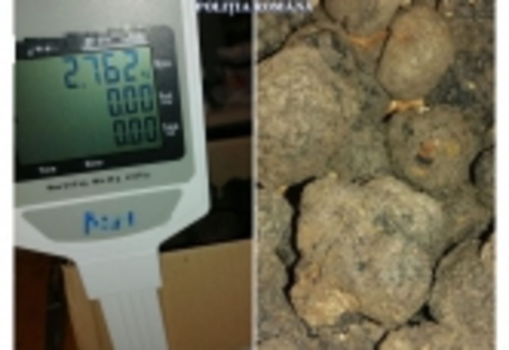 Sezonul recoltatului ILEGAL de trufe negre. Doi bărbați, amendați