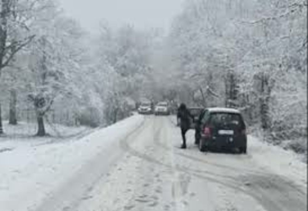 Copac căzut pe carosabil pe un drum din Neamț