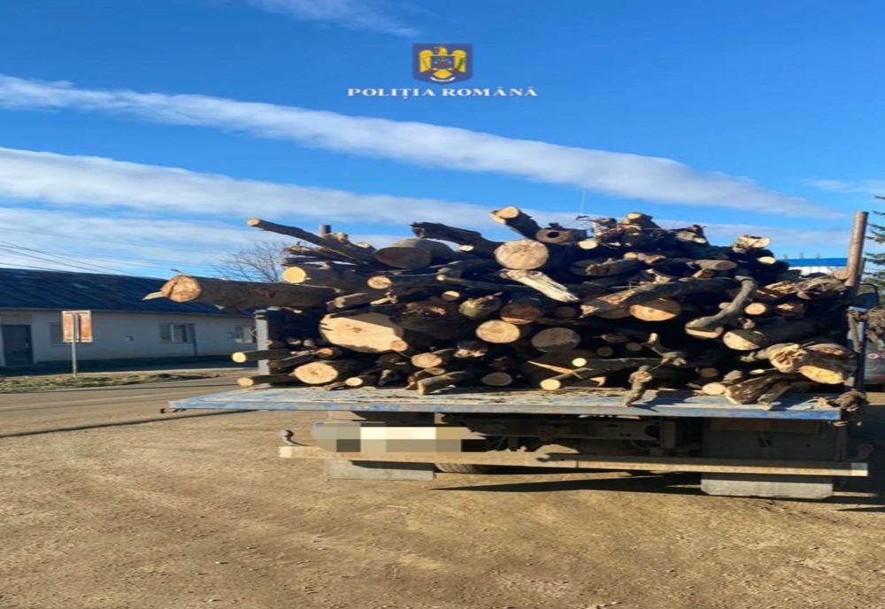 Transporta material lemnos fără documente, având montate plăcuțe ce aparțineau altui vehicul