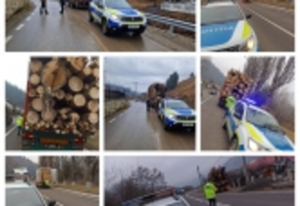 179 metri cubi material lemnos confiscat de polițiști