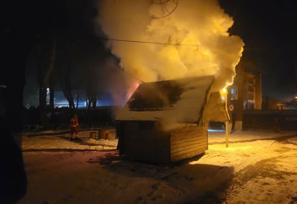 Incendiu în parcul din Roman