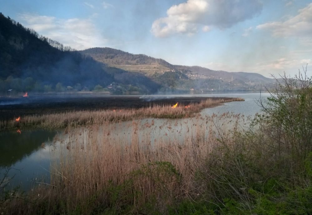 5 hectare de vegetație, făcute scrum la Pângărați