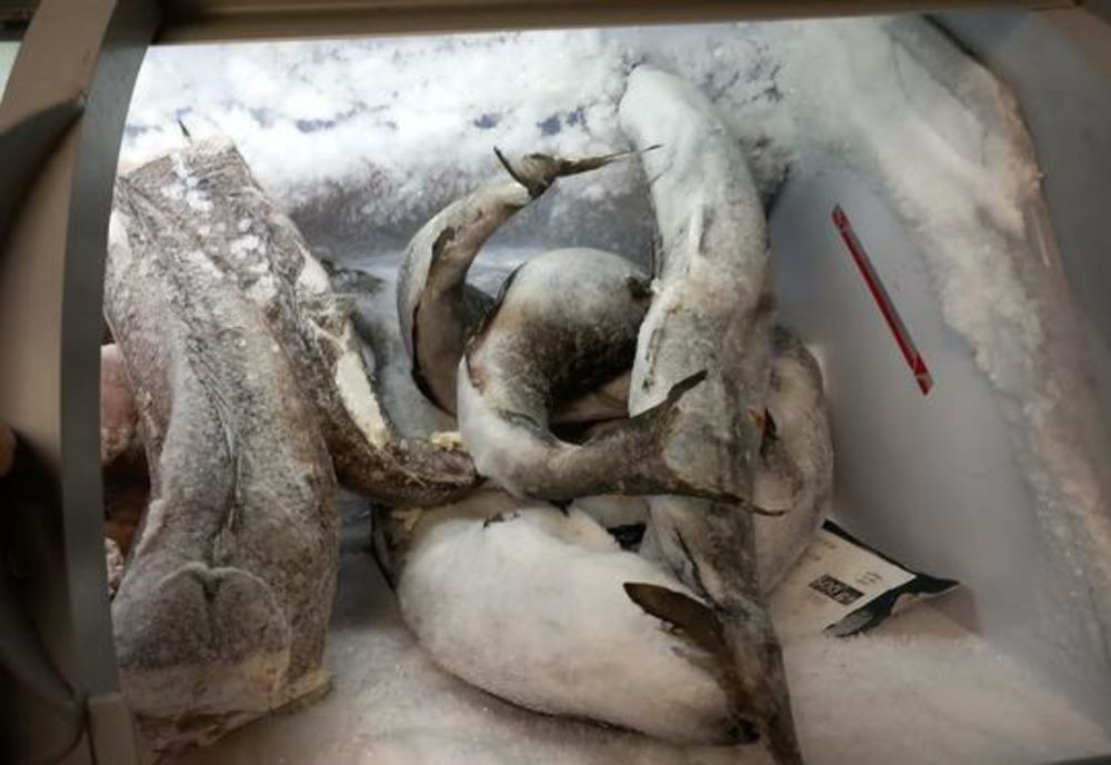 O femeie și trei copii au ajuns la spital în stare gravă după ce au mâncat pește congelat din comerț