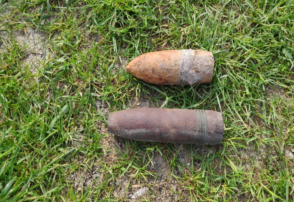 Descoperire periculoasă într-o pădure din Neamț