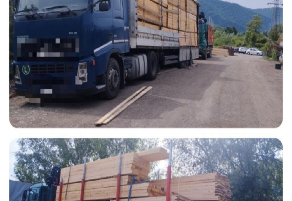 Material lemnos și ansamblu de vehicule indisponibilizate de polițiști