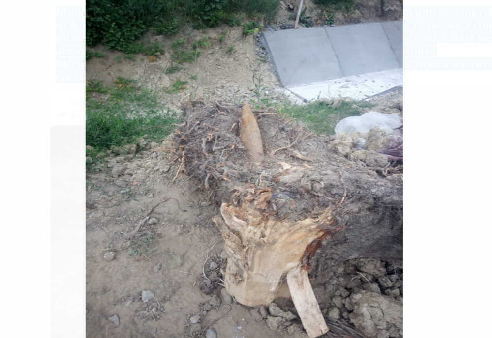 Proiectil din timpul războiului, descoperit în rădăcina unui copac