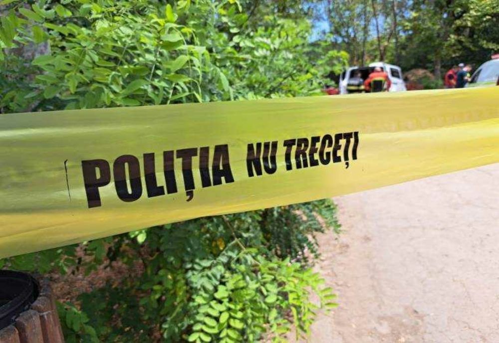 Angajat mort după ce copacul pe care îl tăia a căzut peste el