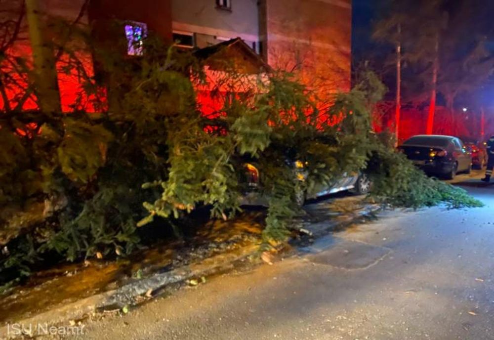 VÂNTUL PUTERNIC A PROVOCAT PAGUBE ÎN PIATRA-NEAMȚ: MAȘINI, DISTRUSE DE COPACI DOBORÂȚI