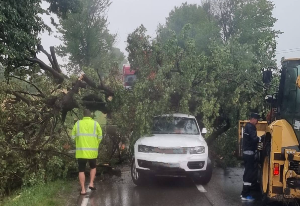 FURTUNĂ PUTERNICĂ ÎN NEAMȚ. COPAC DOBORÂT PESTE O MAȘINĂ AFLATĂ ÎN MERS, LA PĂSTRĂVĂRENI 