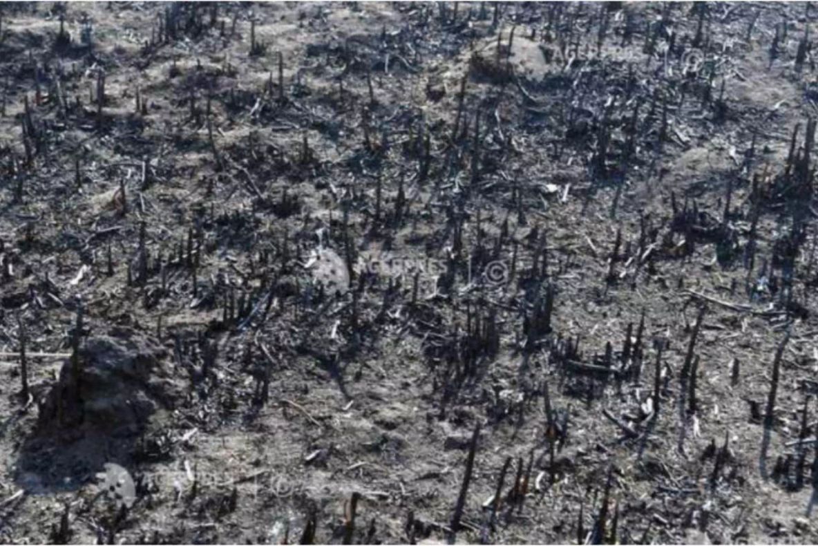 Incendiu masiv de vegetație în județul Neamț. Zeci de hectare sunt mistuite de flăcări