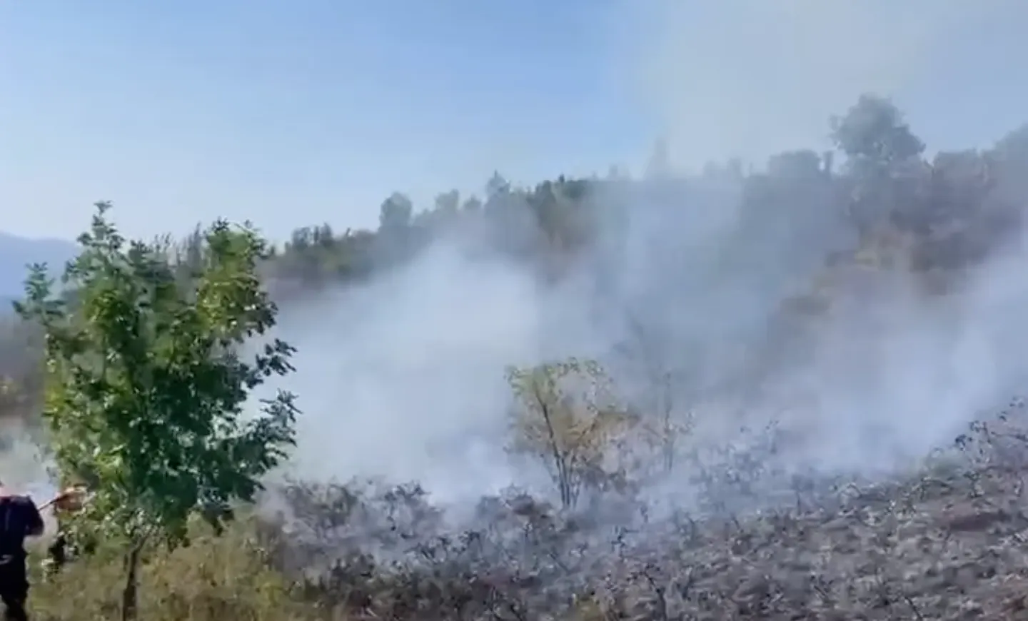 Alertă în Caraș-Severin: incendiile de vegetație se extind, zeci de pompieri și silvicultori se luptă cu flăcările - VIDEO