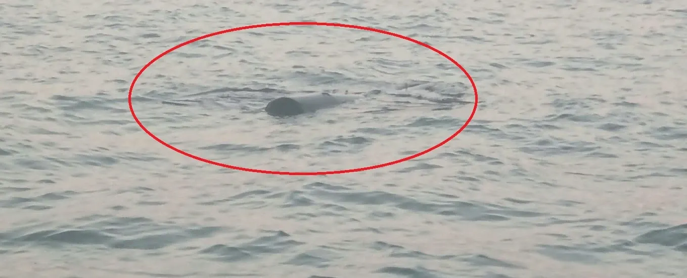 Alertă la Constanța. Un obiect suspect a fost identificat plutind pe mare