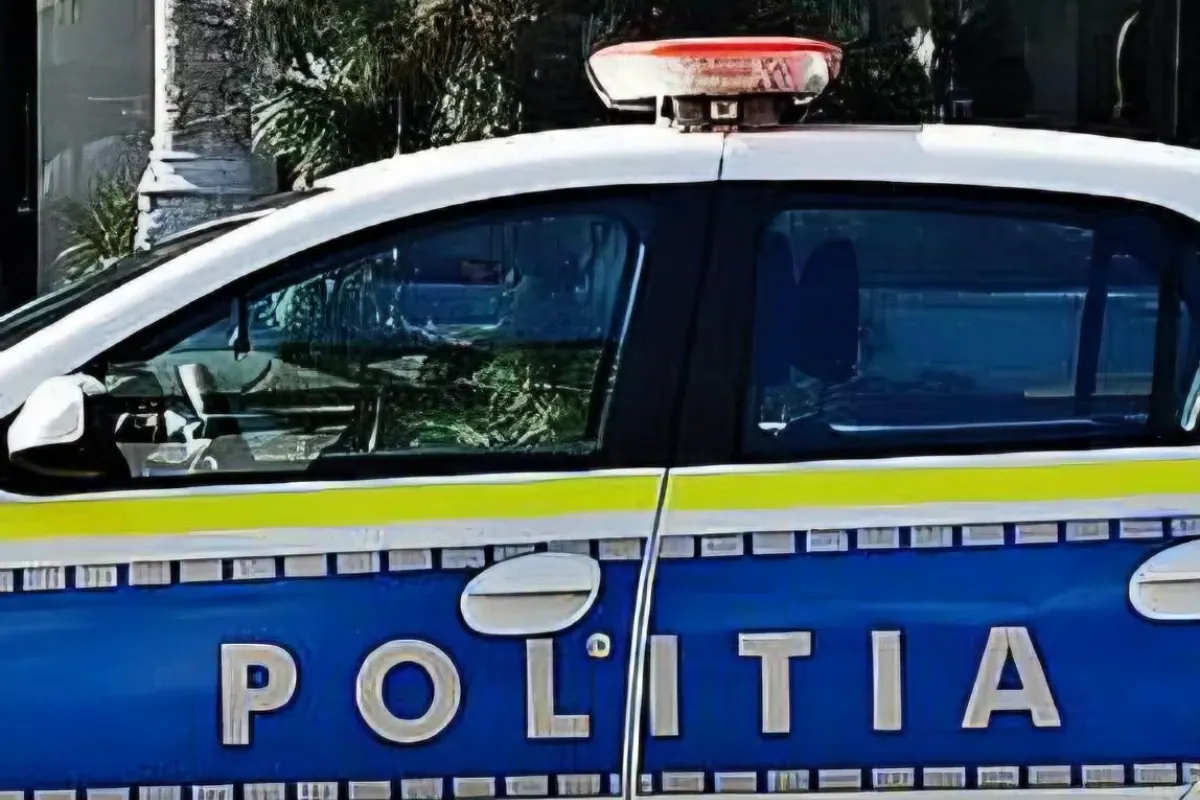 Un autoturism a ajuns în curtea unei case pe strada Teiului din Roman
