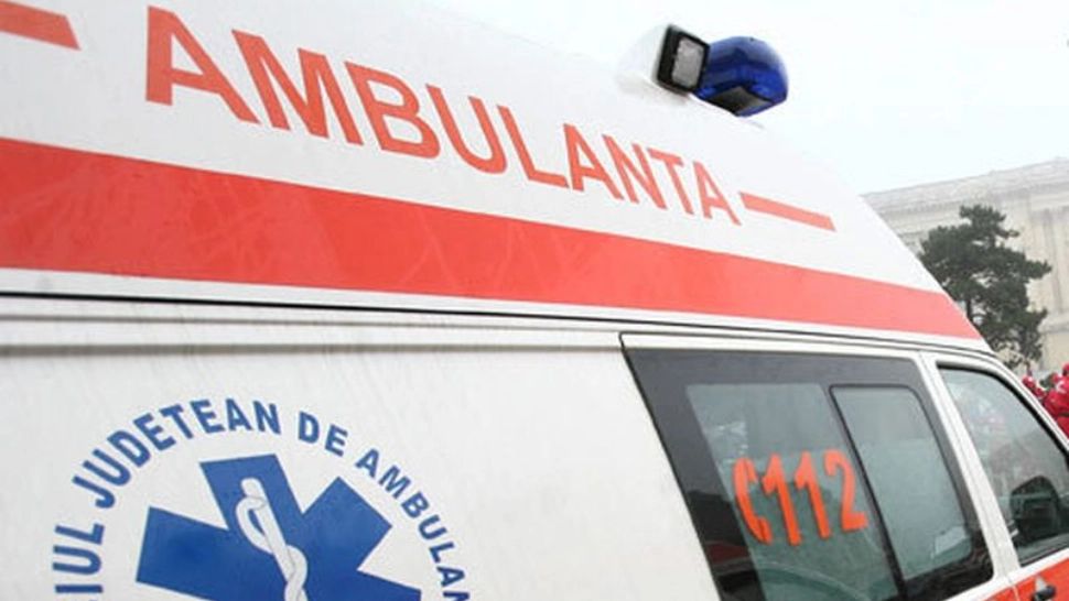 Bărbat mort după ce a fost prins sub un copac căzut, într-o pădure din Neamț