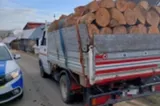 Transporta material lemnos fără documente legale