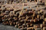 Amendă de 10.000 de lei pentru un operator economic din Neamț