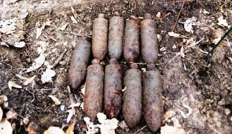 Neamţ proiectile padure (6)