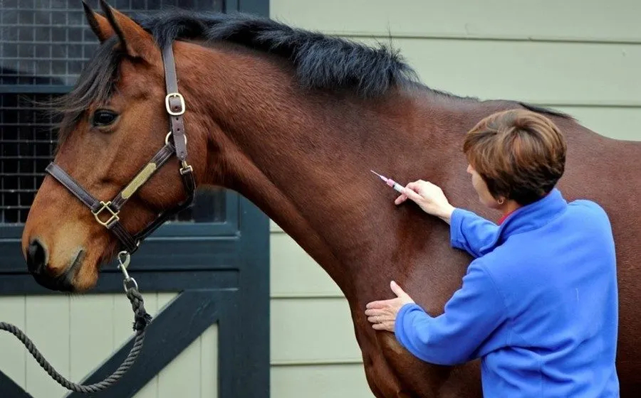vaccinarea animalelor