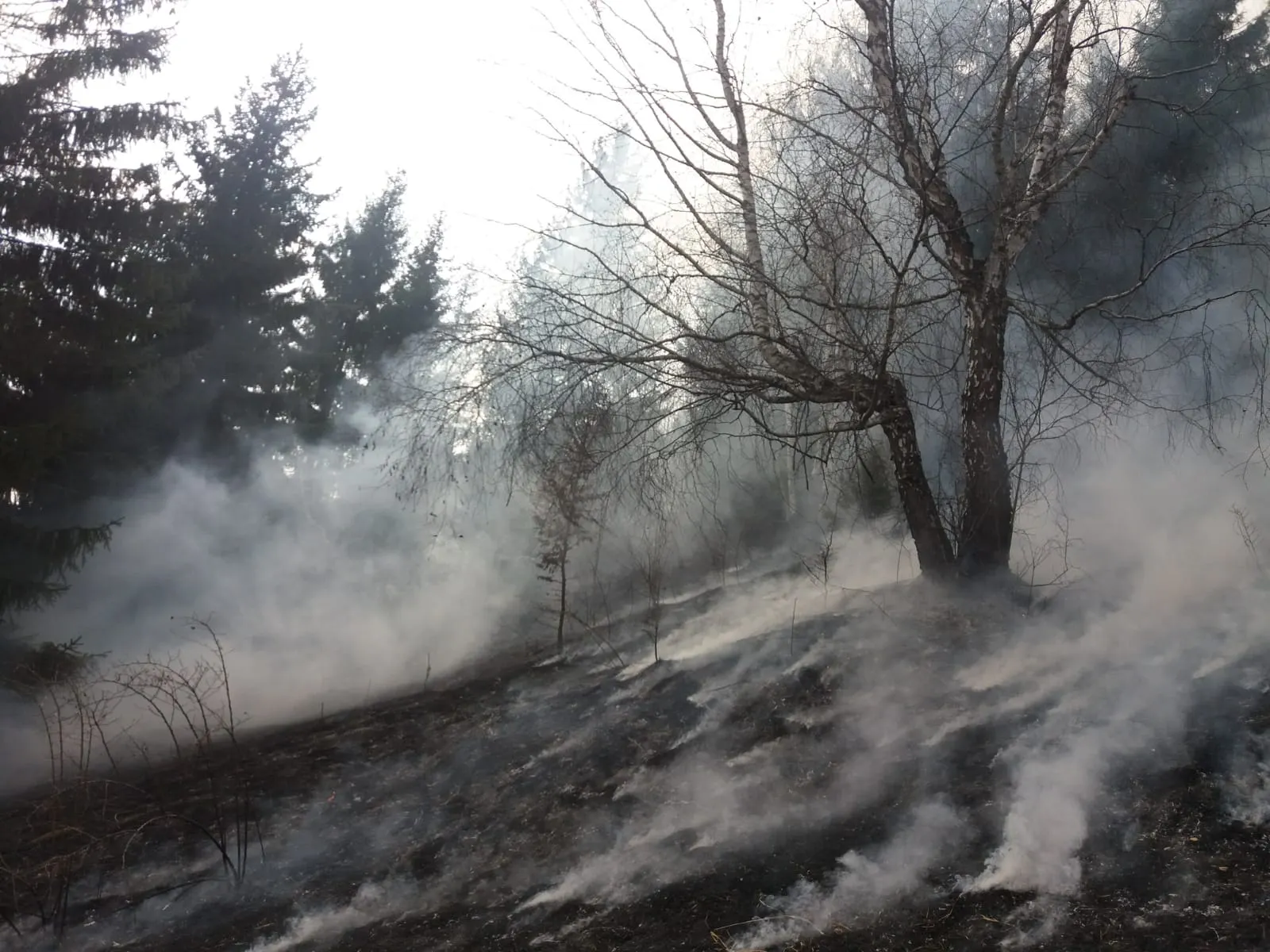 Ceahlau 2 incendiu