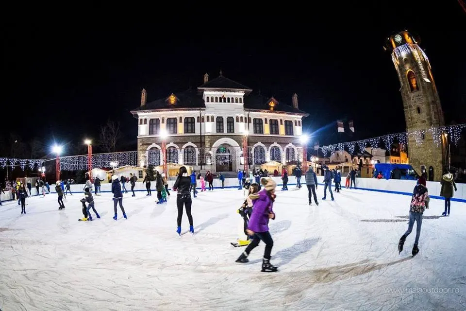 patinoar piatra neamt curtea domneasca