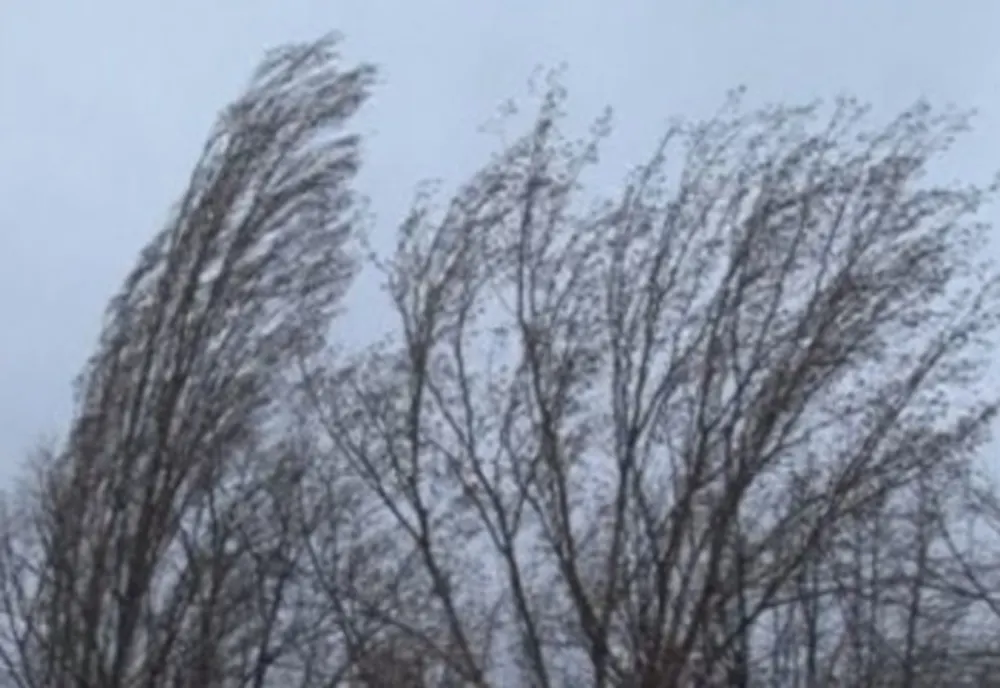 Atenționare METEO! Cod galben de vânt
