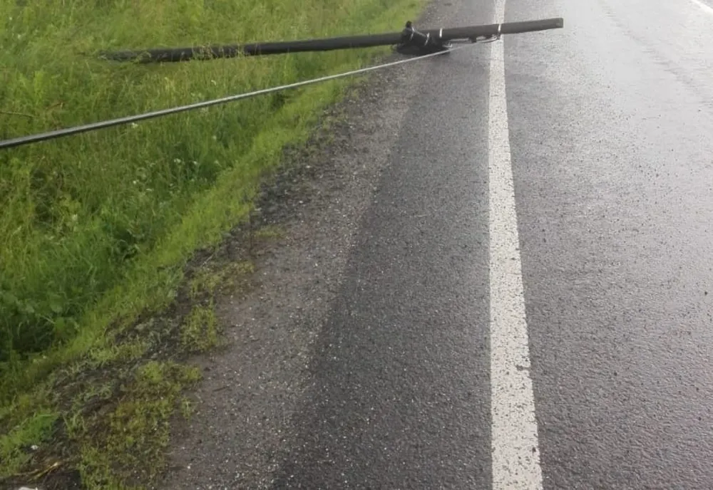 Vântul puternic a lăsat sute de nemțeni fără energie electrică și a doborât stâlpi de telefonie