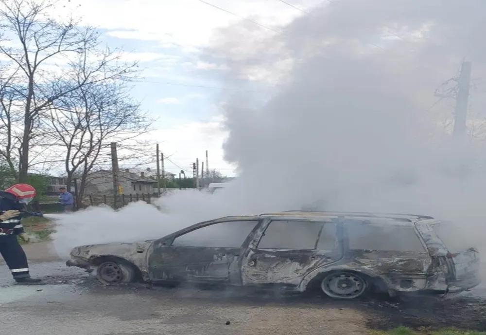 40 de păsări arse de vii într-un portbagaj (FOTO)