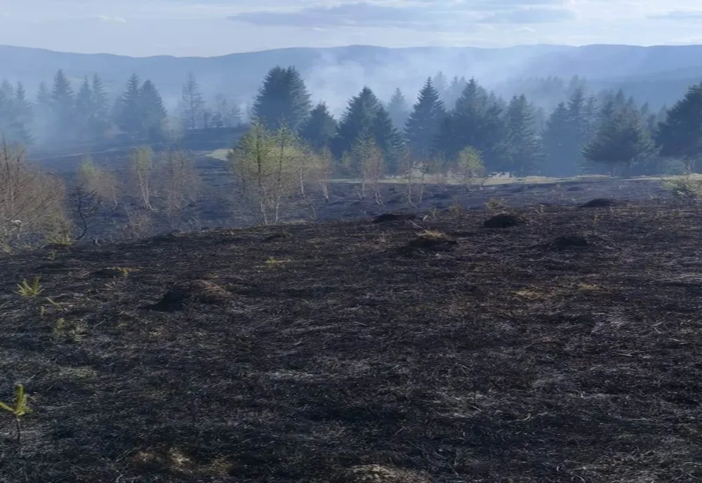 4,5 ha fond forestier și 5 ha vegetație uscată incendiate intenționat în Bicaz