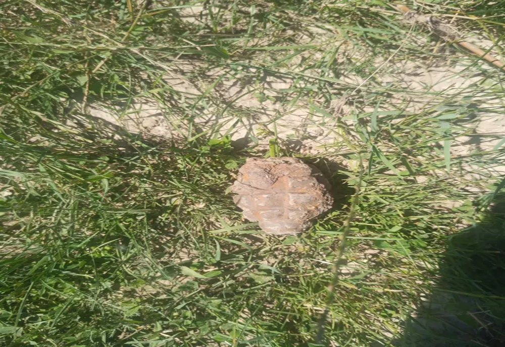 Grenadă găsită într-un pârâu