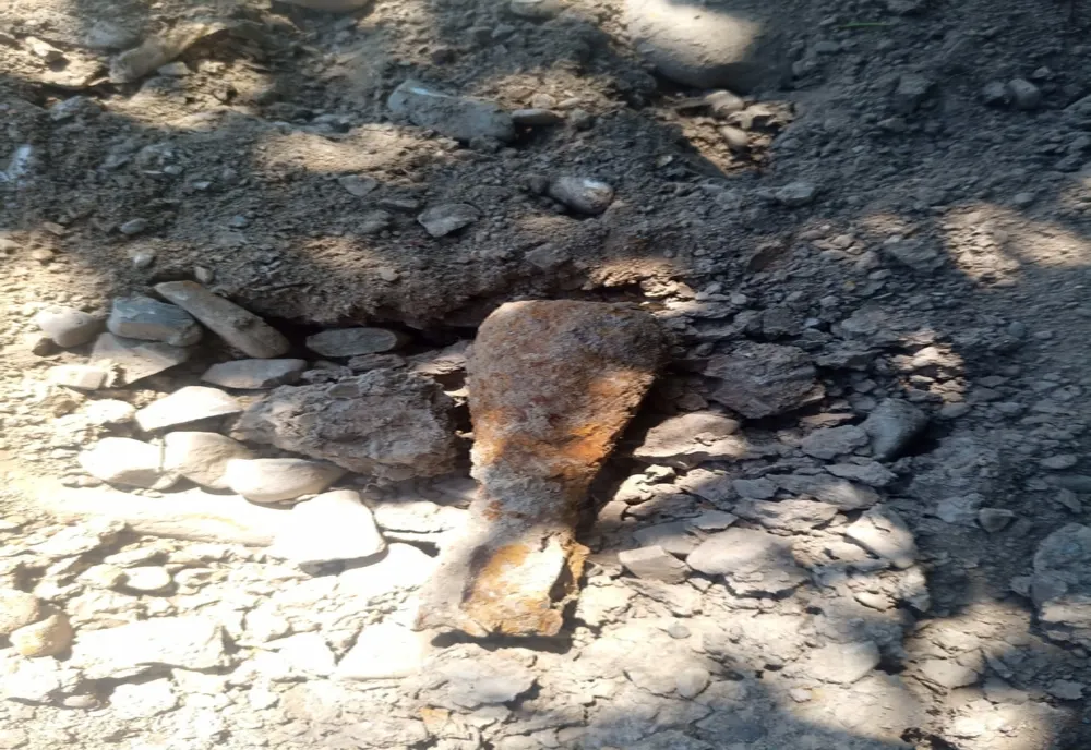 Bombă în Vânători Neamț