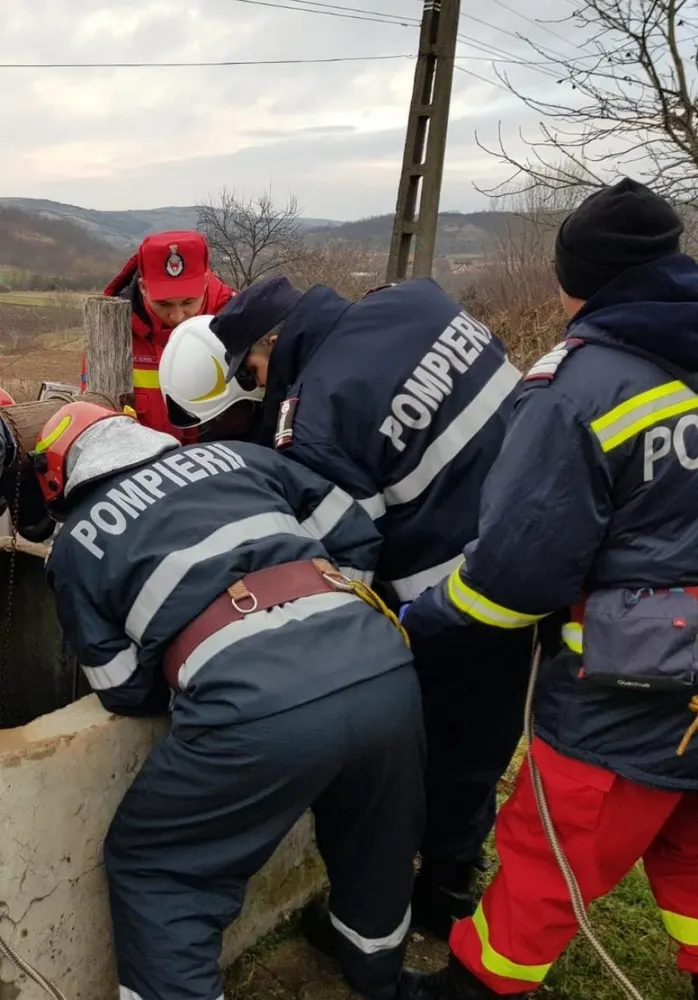 Bovină salvată de pompieri dintr-o fântână