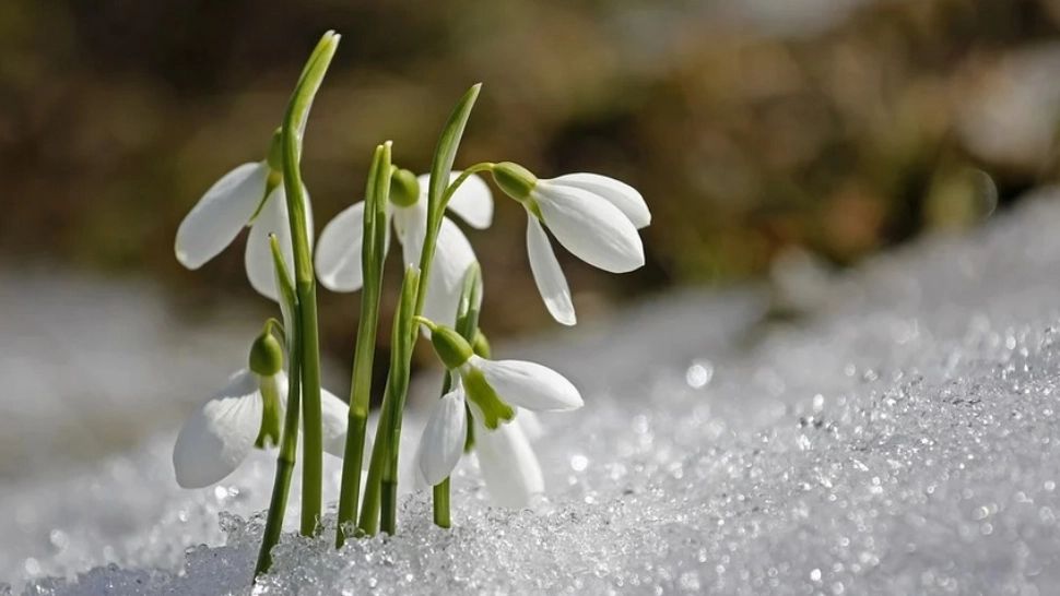 Zile însorite și temperaturi în creștere, mai ales în sud și estul României: cum va fi vremea până la mijlocul săptămânii