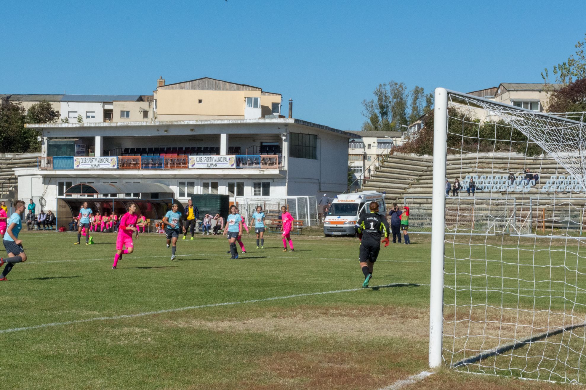 Vulpitele Galbene Roman - Selena SN Constanta-3013