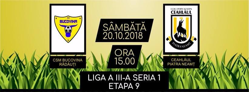 csm bucovina radauti