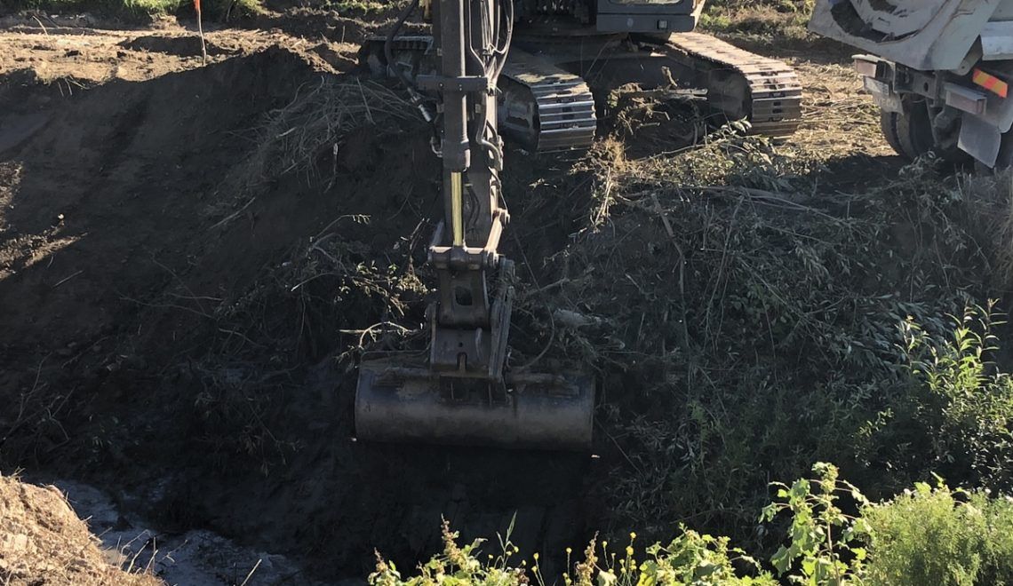 inundatiile din vara