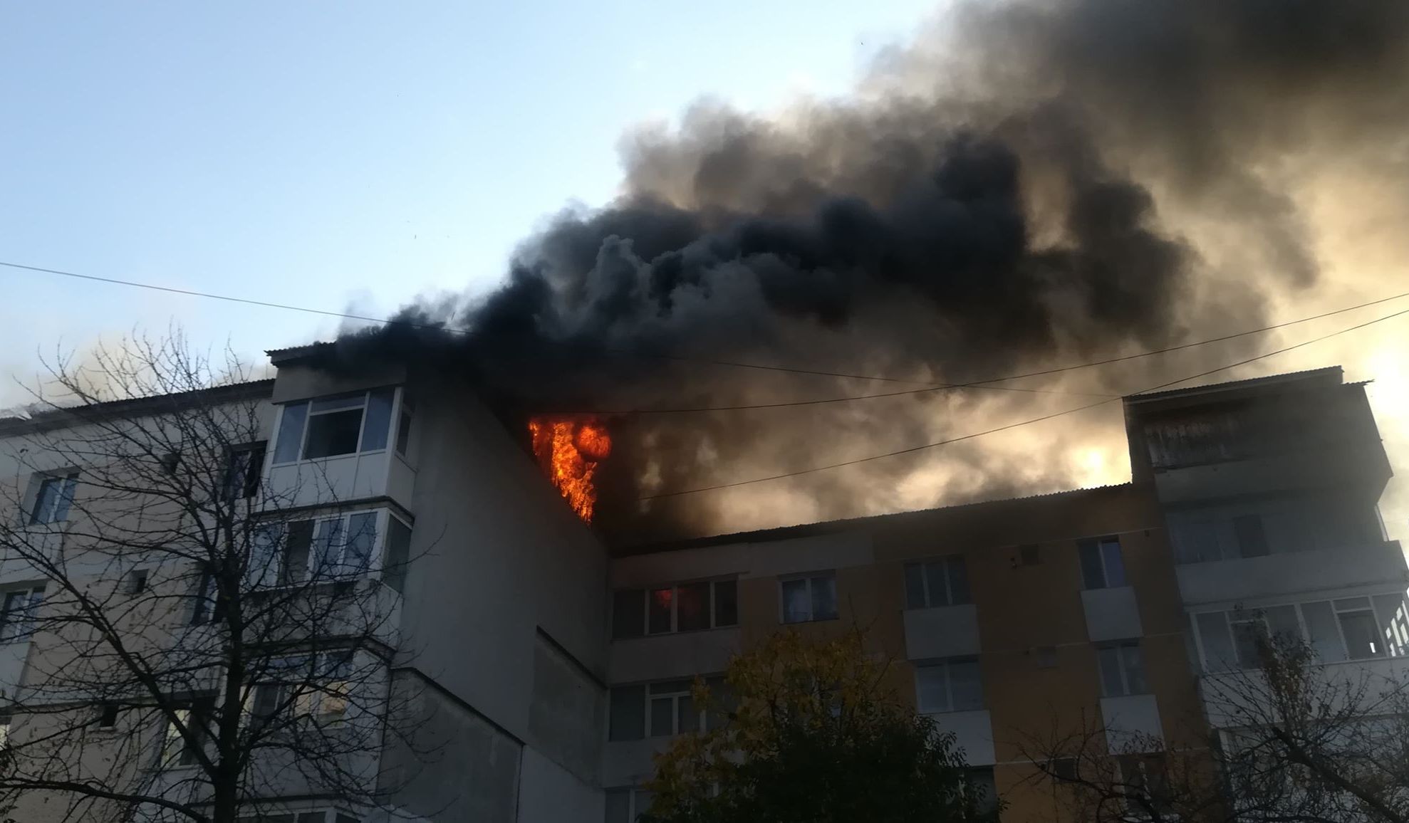 functionar din guvern