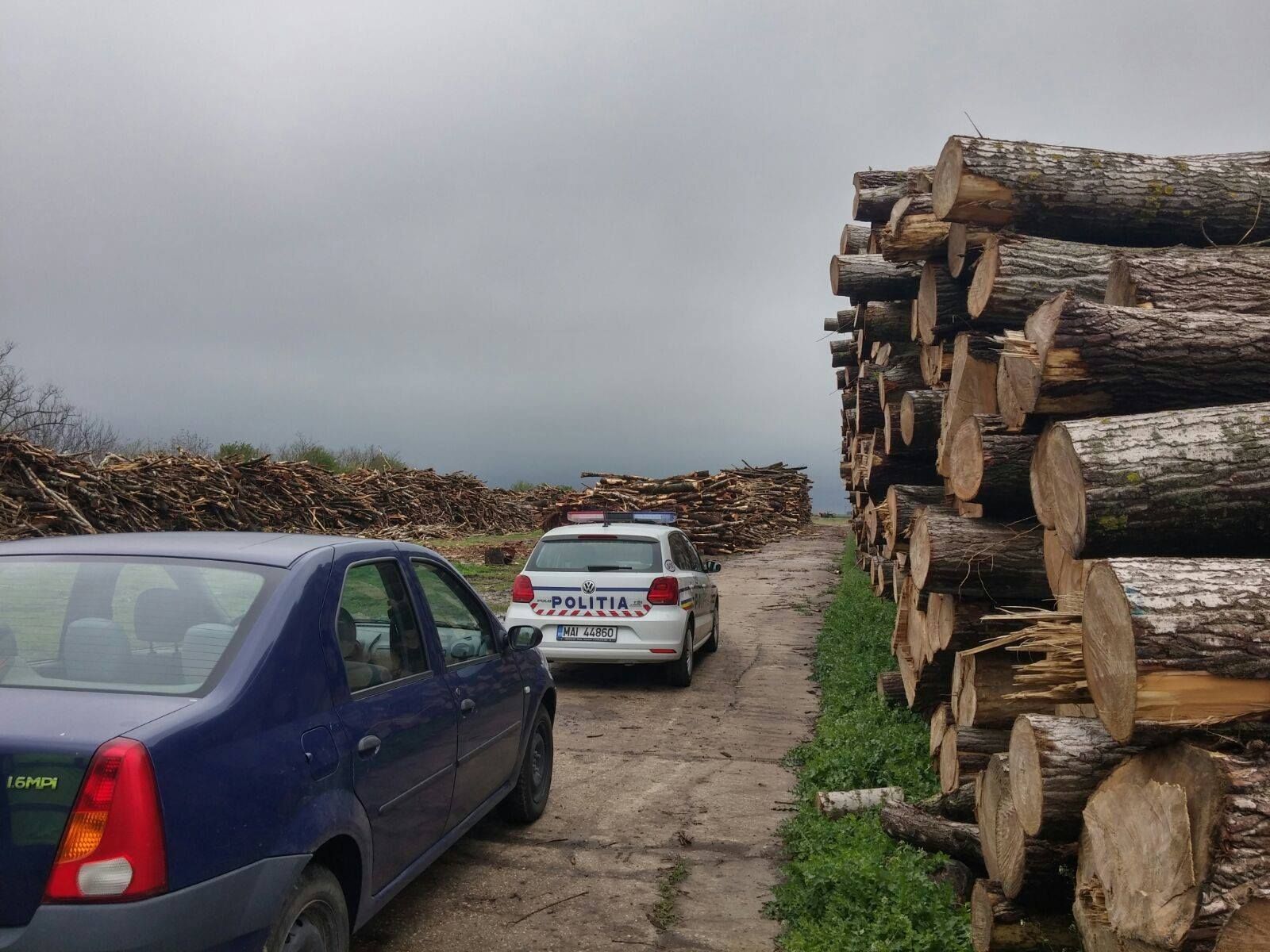 politia-lemne-confiscari-firma