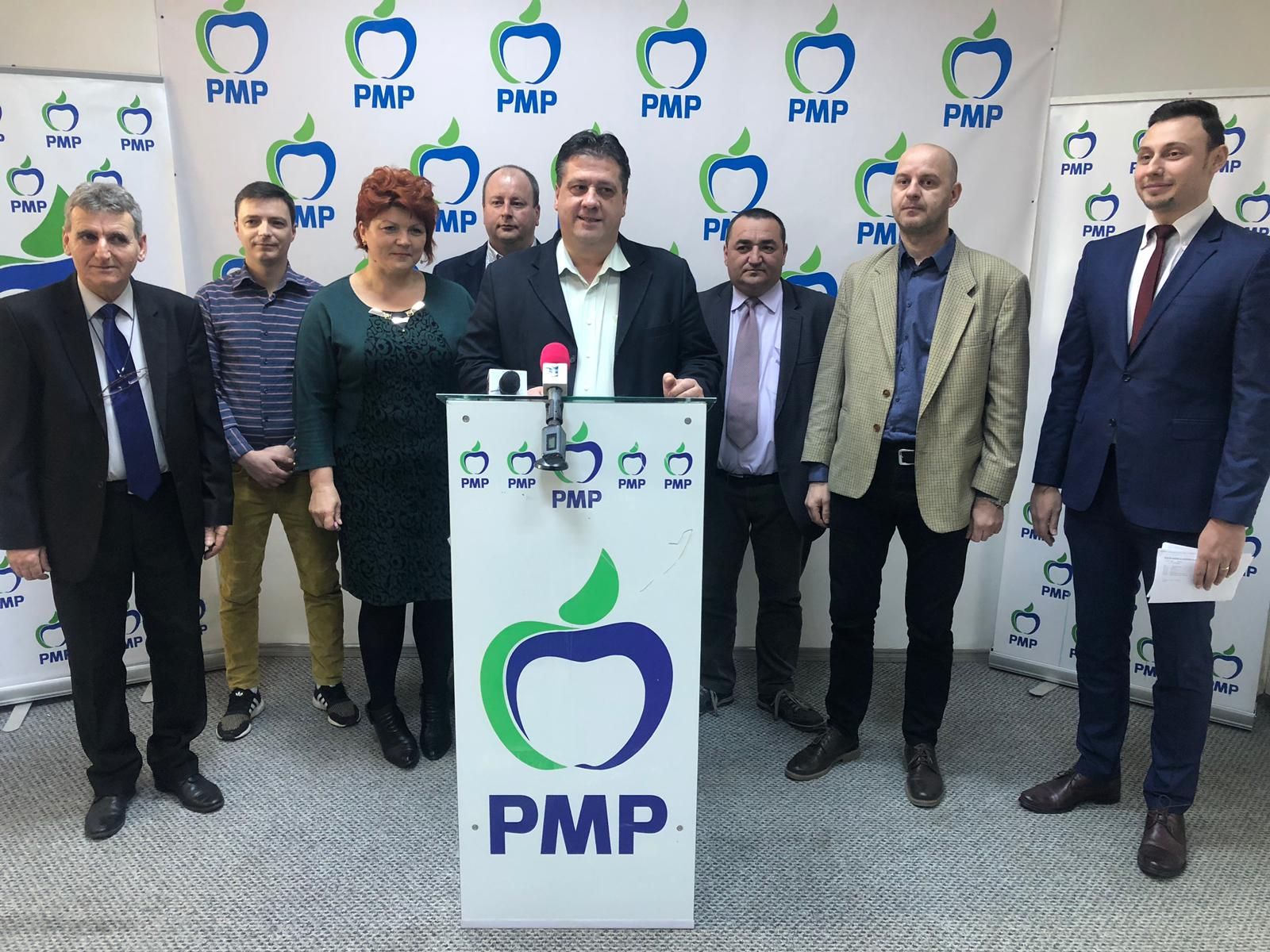 gavrilescu PMP