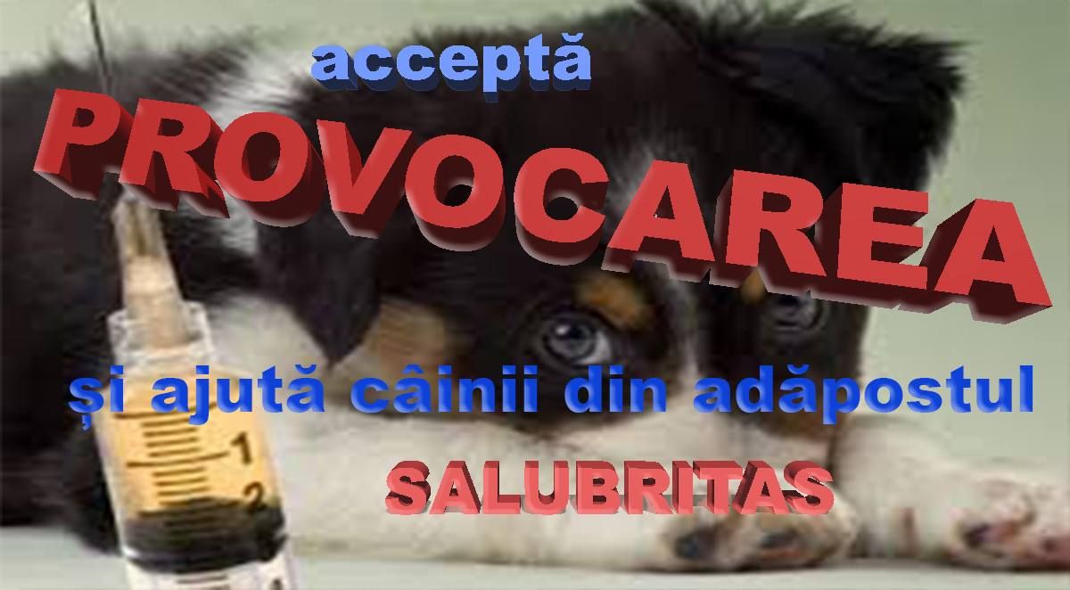 provocare inedita