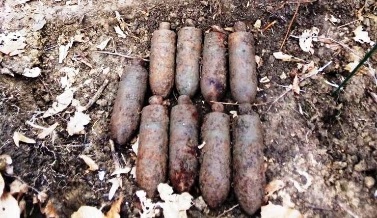 Neamţ proiectile padure (6)