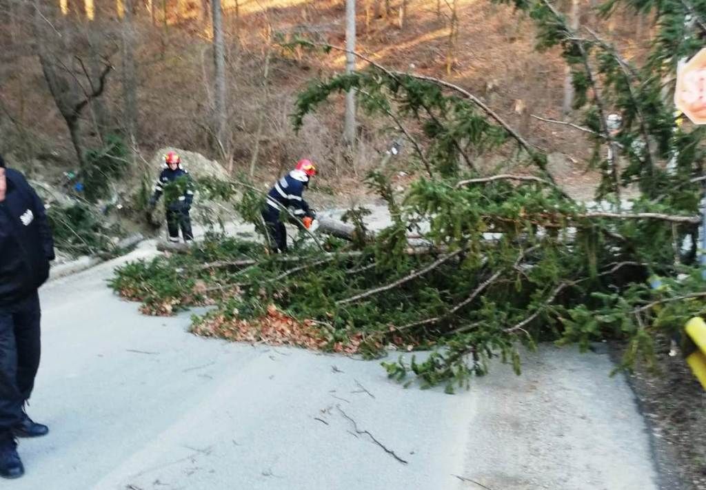 străzi blocate de copacii căzuți pe carosabil (2)