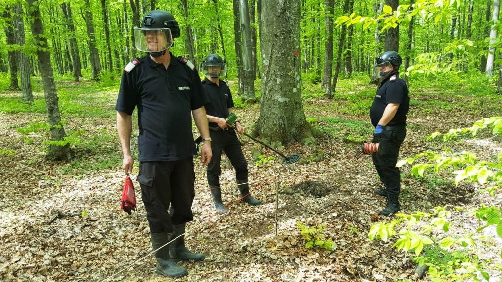 arsenal de muniție neexplodată, găsit în Neamț (6)