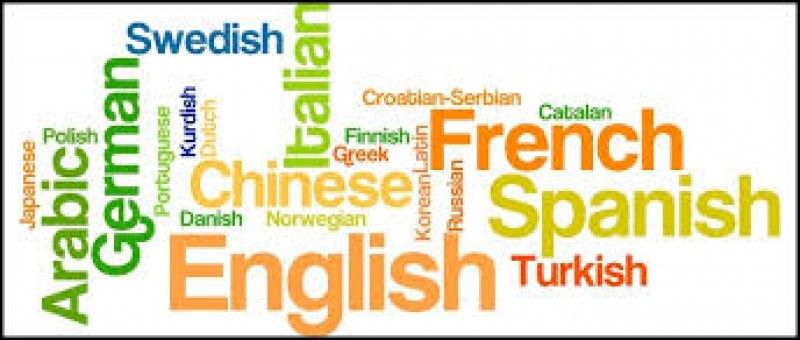 etapele-nationale-ale-olimpiadelor-de-limbi-moderne