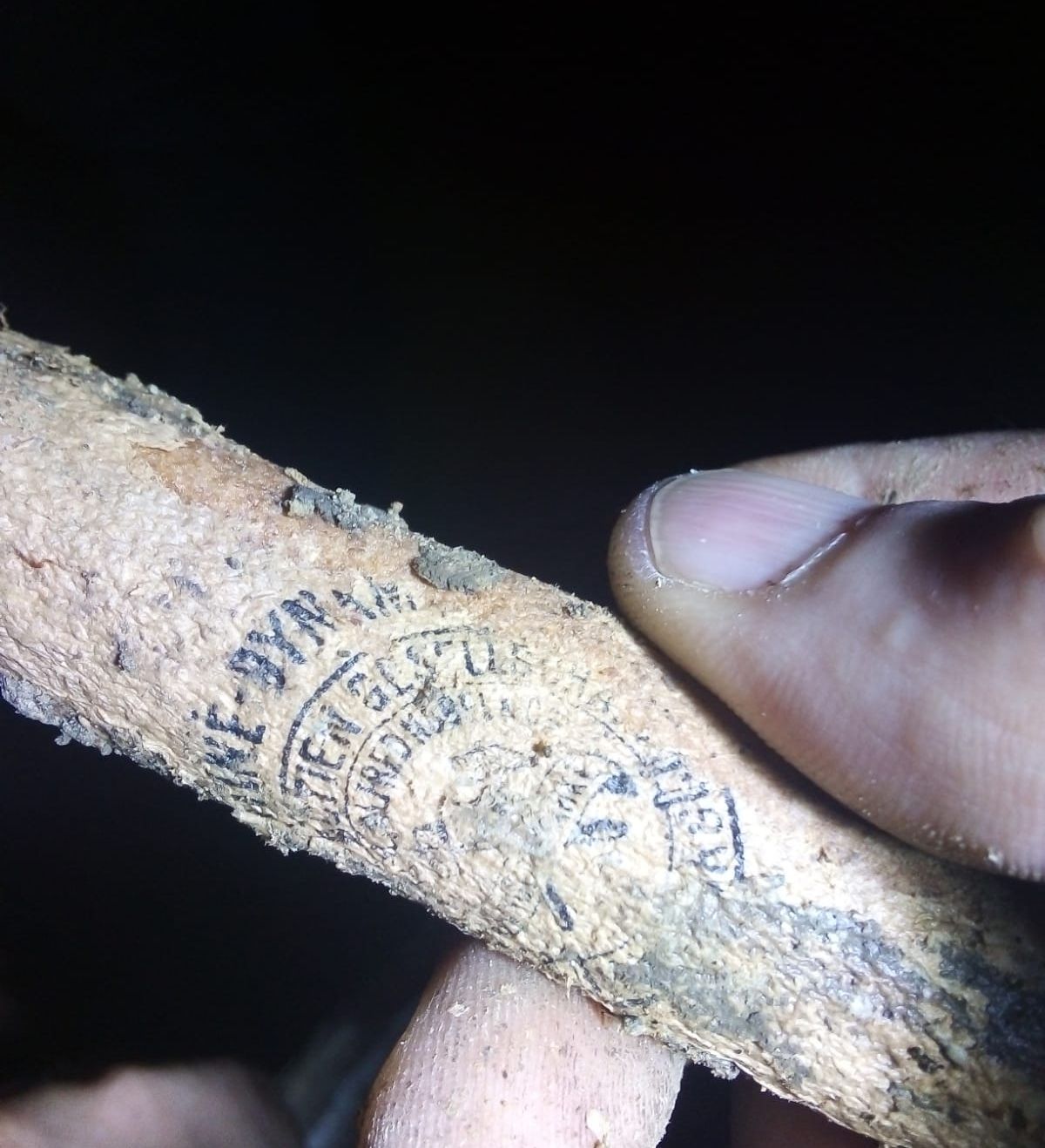 d51c9fad-1999-4195-b1fa-424a62cb30ce