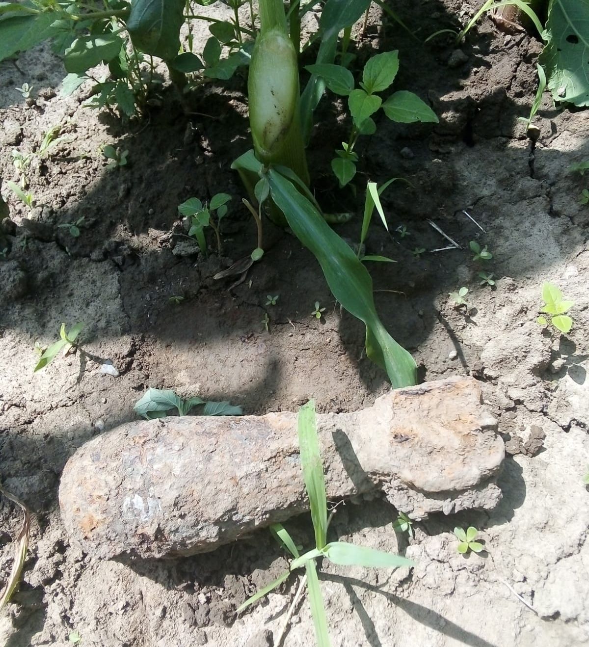 ecc28556-a2a5-420d-9be0-ca19846c4ec6