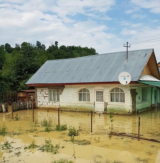 64723799_2308231405909591_5765189778865651712_n